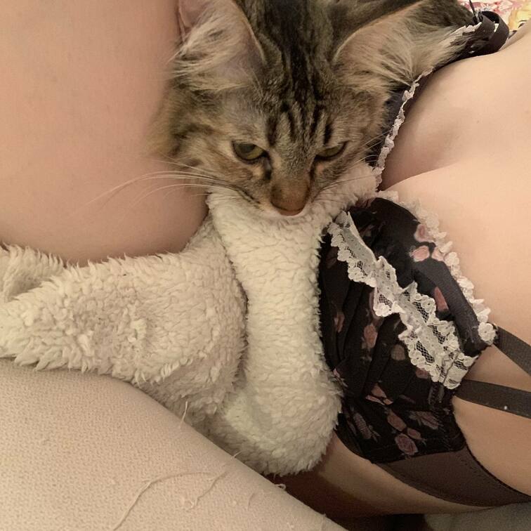 ねこちゃんが羨ましい❔❔