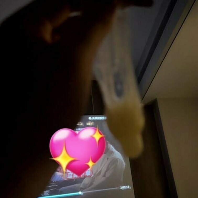 ちらっとだけ