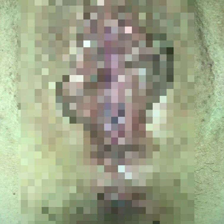 デブ専の方お待たせしました！超重量級肉厚パイパンマンコの接写です💋🔥

この子はとにかくデカいですw食べるのとセック