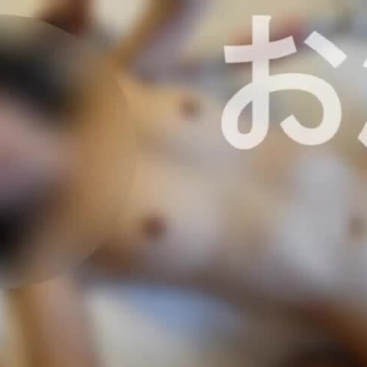 39 1日に3人とオフパコしたときのまとめ動画です。

細身の女子○生
小柄な人妻
巨乳の女子大生

という