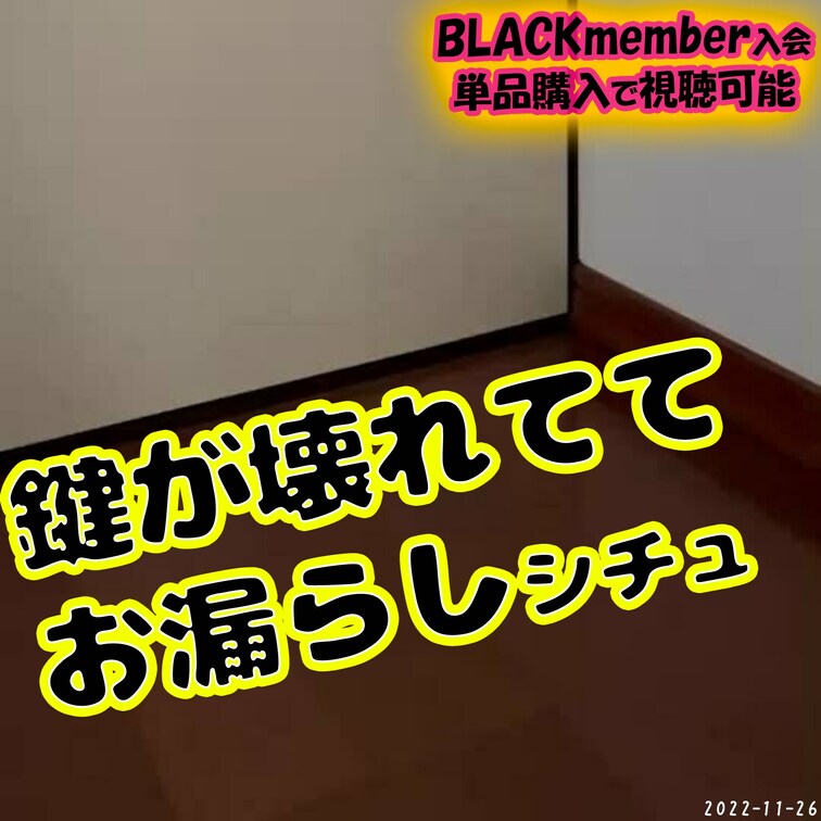 お手洗いの鍵が壊れてて、扉が開かなくておしっこ間に合わなかった(´;ω;｀)
履いてたおむつにおしっこ全部漏らしちゃっ