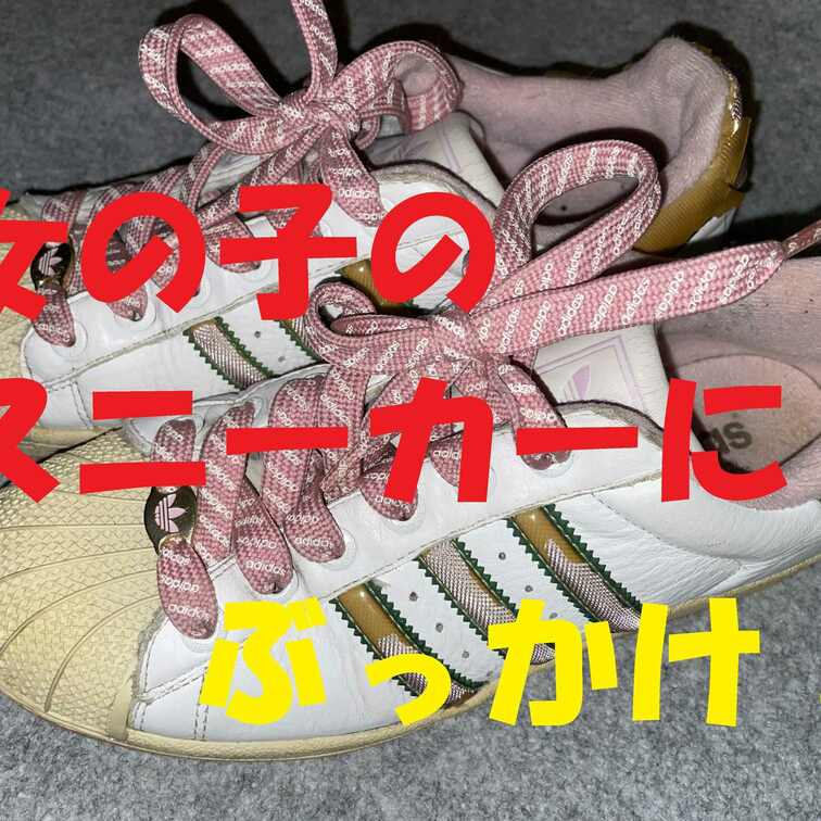 作品No.２『ボロボロadidas...