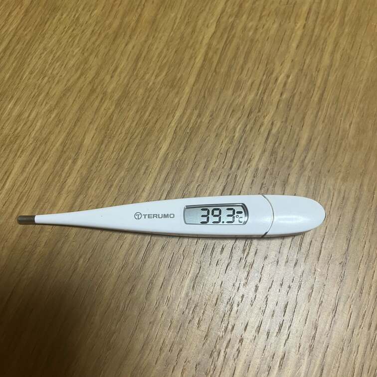 皆さんごめんなさい😭体調が悪くてこちらの更新がしばらく出来ないかもしれません😣
近々動画一本載せるので楽しみにして