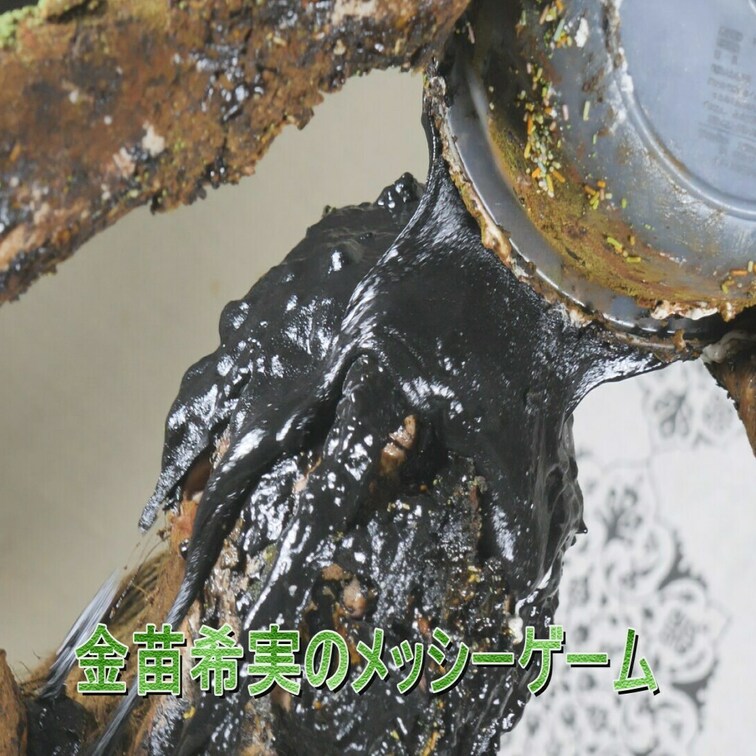 金苗希実のメッシーゲーム　3,100円

撮影日時点で引退を控えている金苗さんが食材メッシーに挑戦！！
意外にも食