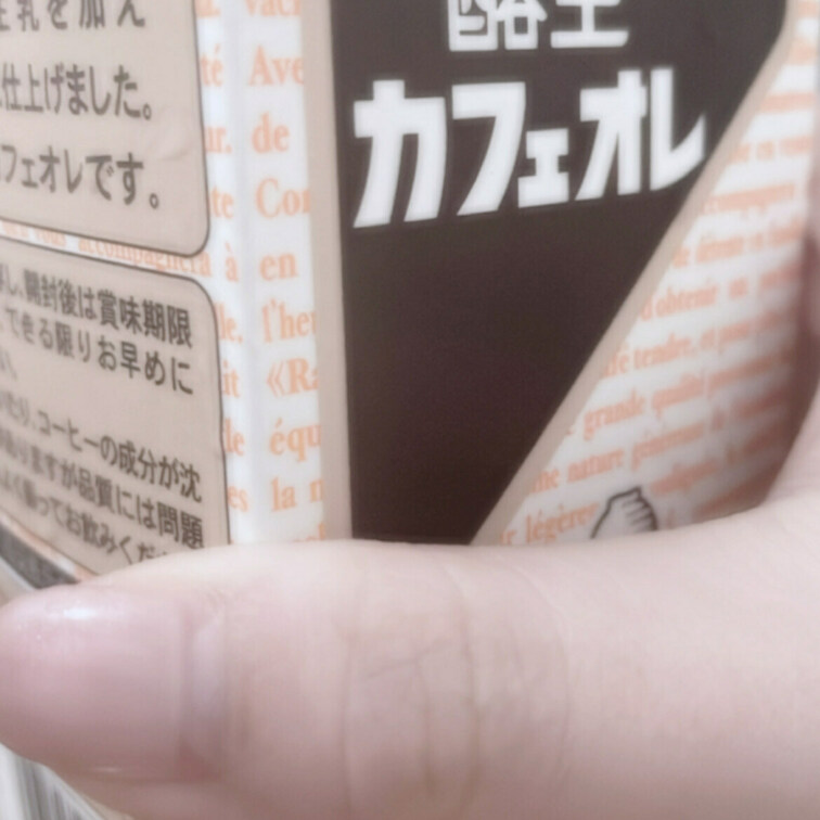 これだーいすき