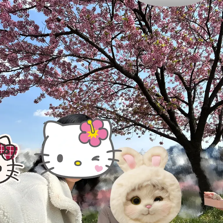 春らしい可愛いお弁当を買って友人達と花見をしました🌸

桜があでやかで綺麗ですなぁ

花見の開放感からなのか、写