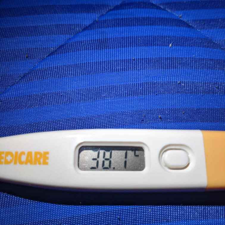 3日前から調子が悪く昨日の夜に熱出ました😰😰😰
解熱剤飲んだのにここまでしか下がりません😣😣
写真アップ出来なくてご