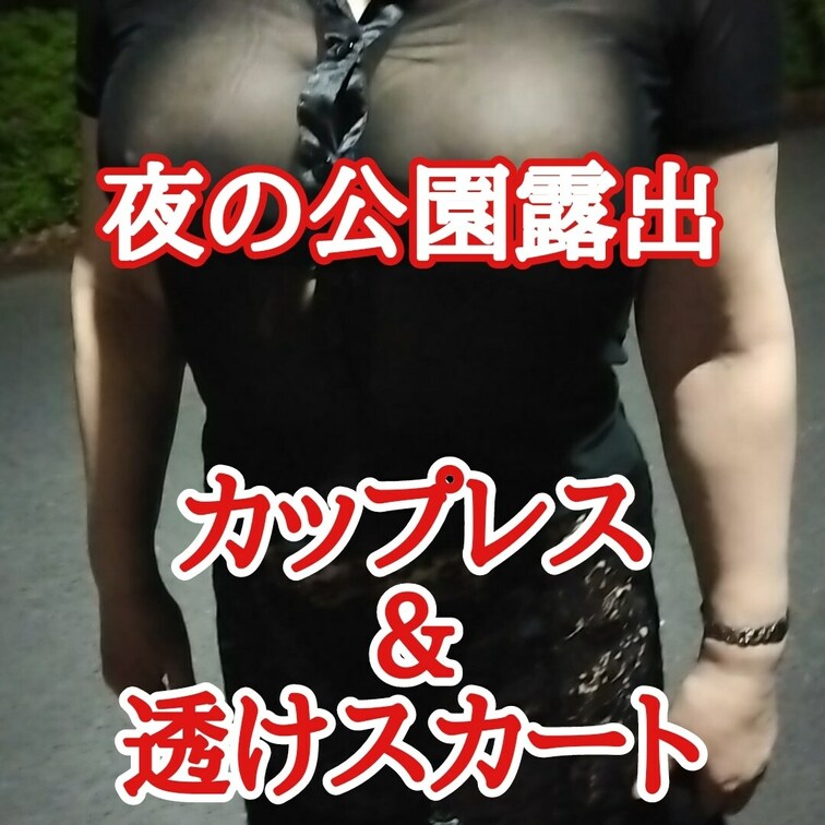 【夜の公園露出】
透け透けトップス
カップレスブラ
透け透けスカート
乳首も乳輪も晒して

誰かが来るのを待