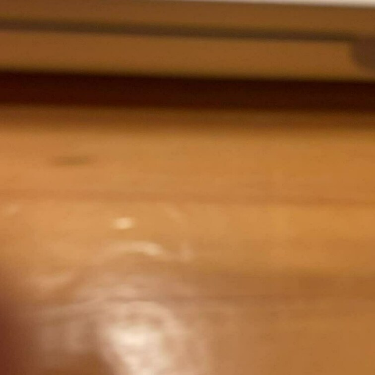 おしっことうんちしたくて、ギリギリまで我慢して駆け込んだら・・・
先客がいました〜〜〜☺️💦💦

しかもなかなか出