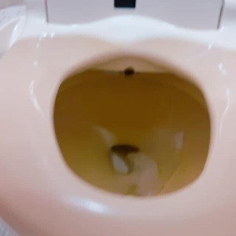 おトイレでのおしっこ♡