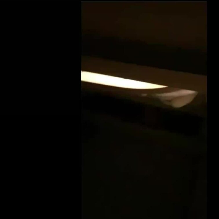 エロイプ動画