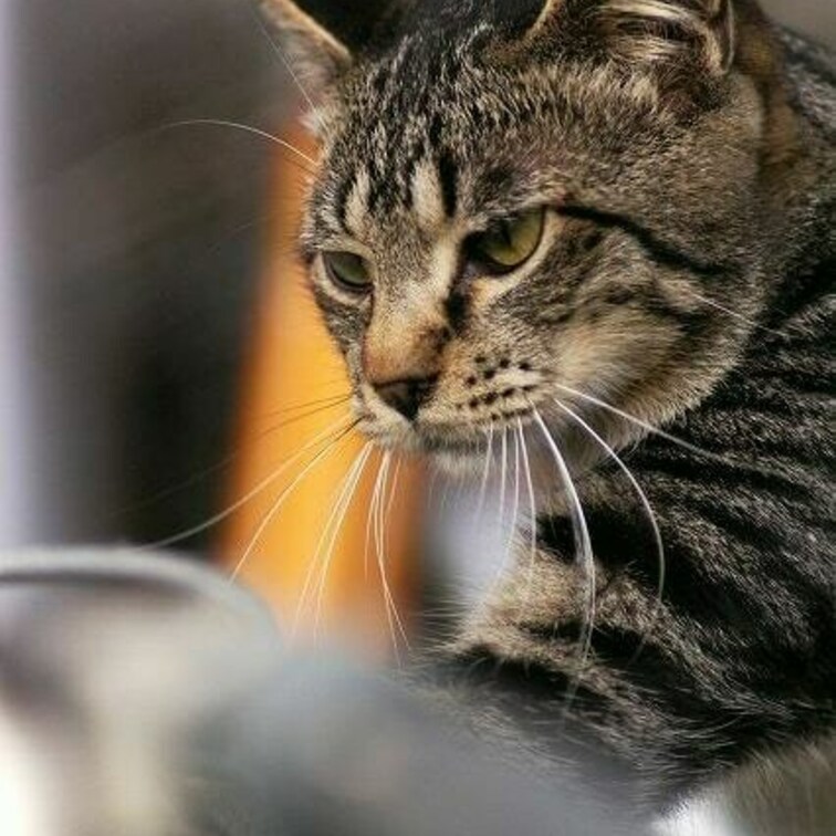 バイクに乗っています