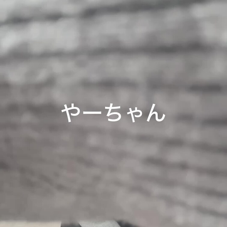 プラン加入者限定動画です！！
単品販売もあります〜
今後もゆるゆる増やしていくつもりです〜

コメントやメッセー