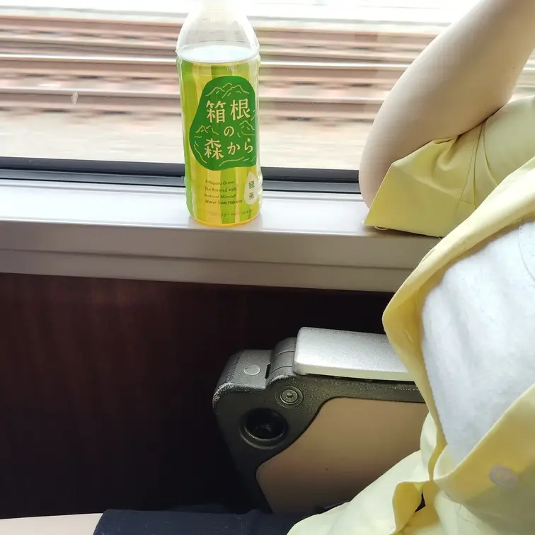 ♥️露出♥️電車旅の一コマ
