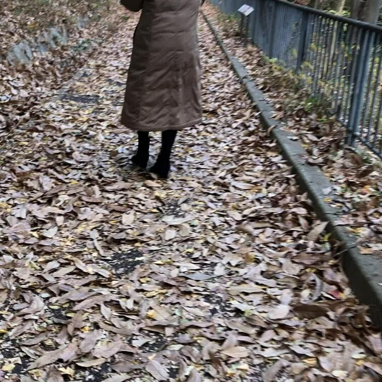 枯れ葉まみれの小道🍂ガサガサとお尻散歩🍑