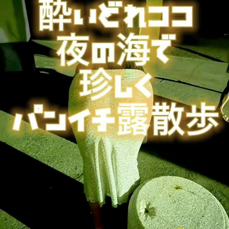 夜の海でのパンイチ露散歩🎶😊✨
ココはあまりパンイチにならないので珍しい動画ですよ😆💕✨