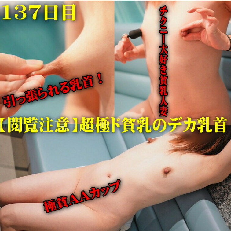 今回は貧乳を思いっきりアピールして撮りました。
ほらね。表紙見てもわかると思うけど、
全く乳房が無いでしょ？
女性