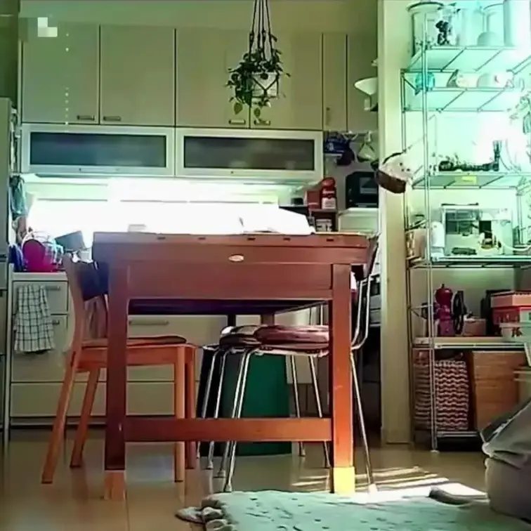 愛妻M💕