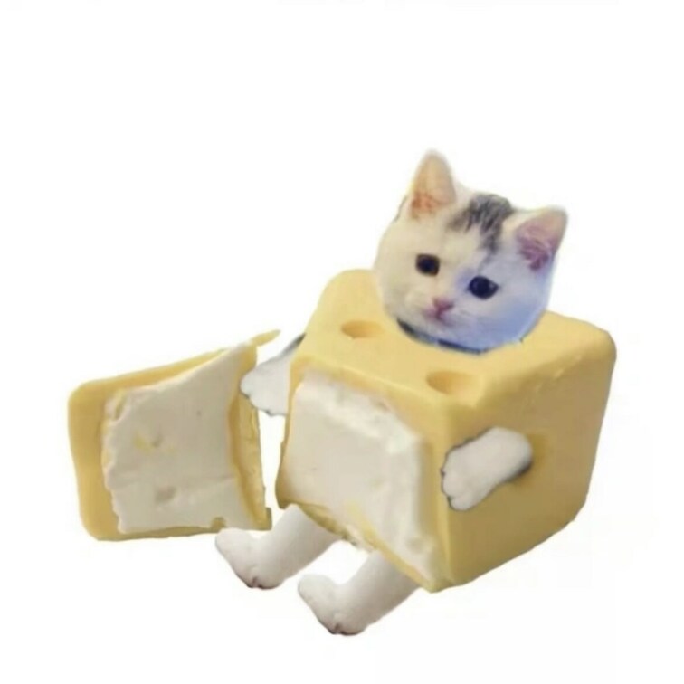 まじで最近自分の体が嫌ちゅぎる問題

そんなこと言うなよってね

ごめんん(T-T)


毛が生後数ヶ月の