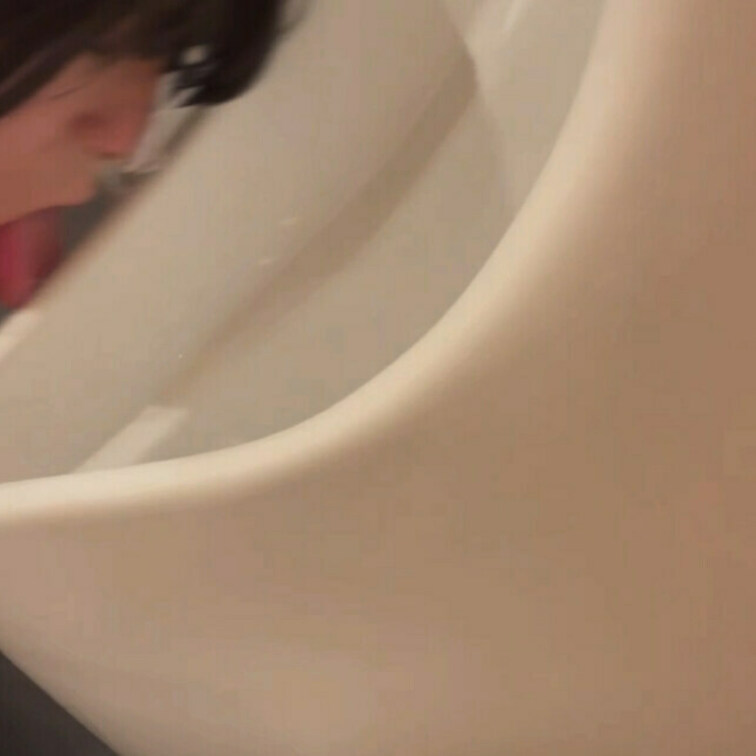 内容は公衆トイレの便器舐め２日分野外放尿になります。
 
 (こちらの動画はご主人様プラン、VIPプラン、または単品