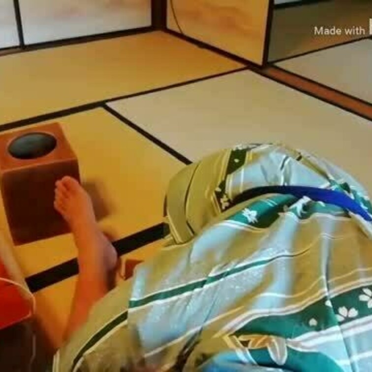 混浴旅館奉仕