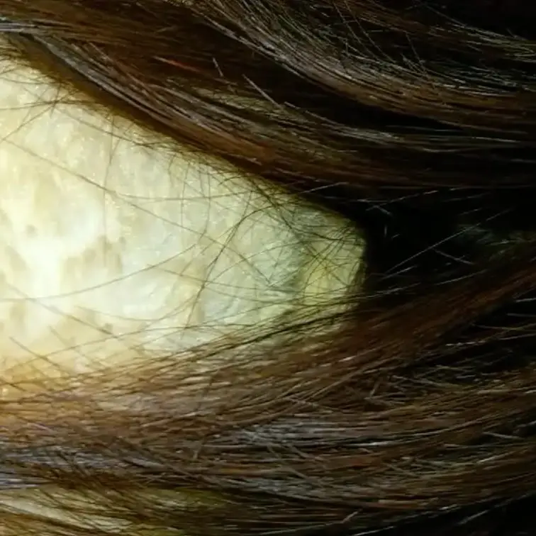 妻の髪を広げて、手櫛などしている髪フェチ動画です。
広がった髪の毛の動きが楽しめます。

#髪フェチ
#妻
#