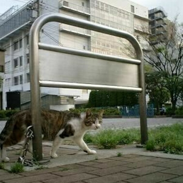 くぐる