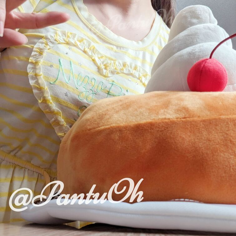 コメダ珈琲の1番くじ♡
めちゃくちゃ欲しかったA賞のシロノワールのもちもちクッション♡♡

大っきいんだけど‥‥‥
