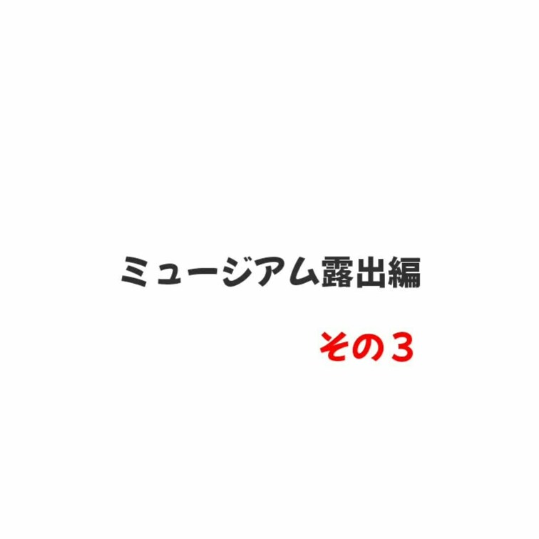 その3　※特別プラン
