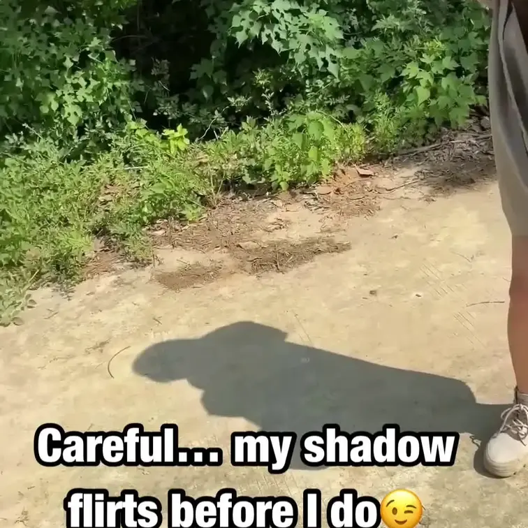 今日の私の影、なんだか私より堂々としてる理由…☀️