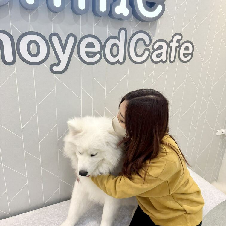 可愛過ぎて可愛過ぎて🐶❤️
お裾分けです😍🫶