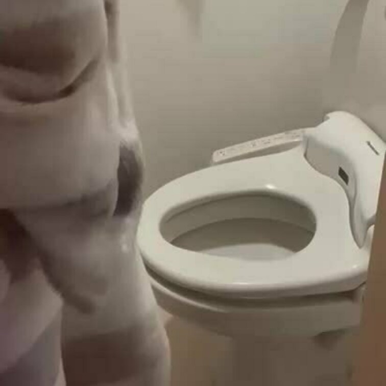おしっこしてるとこ動画撮りました😅
需要があるか心配ですが😅