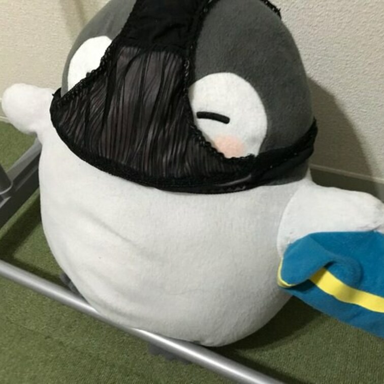 脱ぎたてパンツをペンちゃんに被せてみた🐈

ペンちゃんになりたいと思った？(*´Д｀*)💕



#パンツ