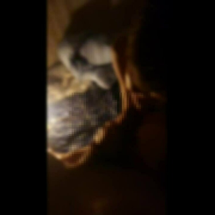 こういったサイトやる事を全く考えていなかった時にスマホで軽く撮った動画😶‍🌫️
画面のサイズ小さいですがご了承下さい🙇