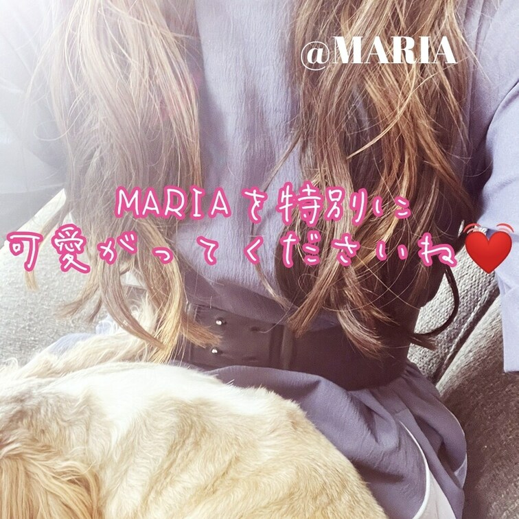 💖よろしくお願いします(*,,˃ ᵕ ˂ )✰*｡💖