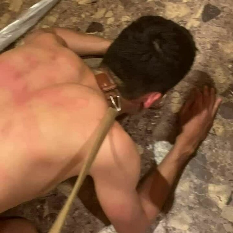 犬の餌やり🐶