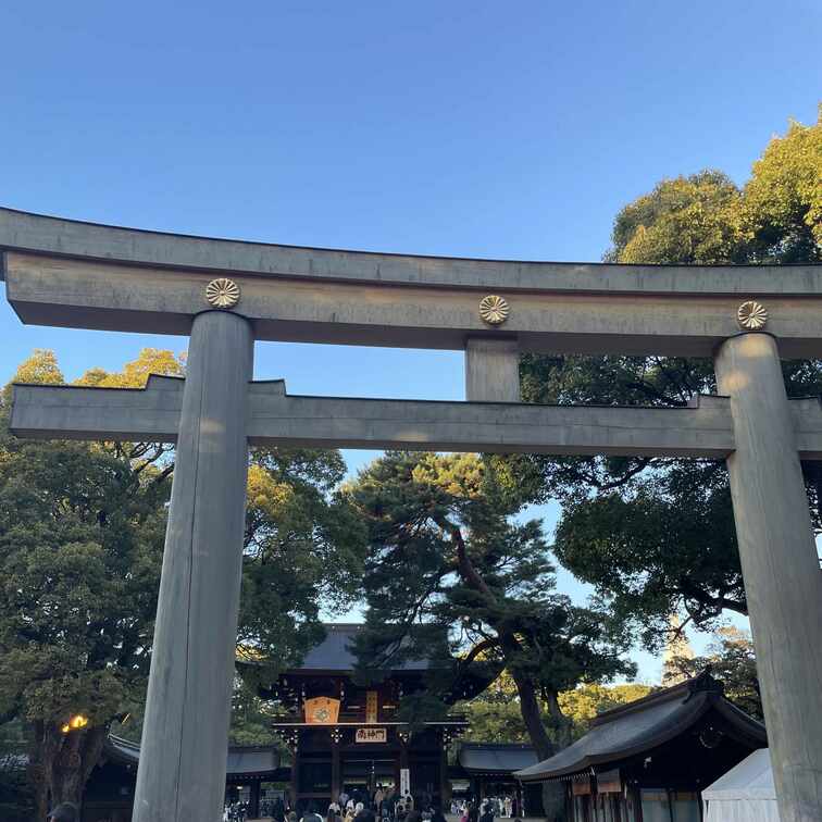 新年のご挨拶とファンクラブサイトオープンのご案内

皆さま、あけましておめでとうございます！
2025年がいよいよ