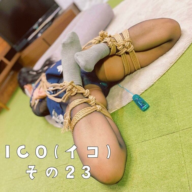 【接写で...】
ICO（イコ） その２３