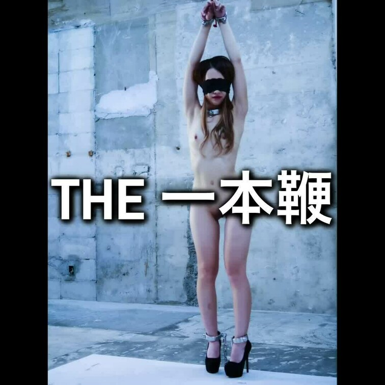 『THE 一本鞭』

倉庫で、天井からの縄に○○○束され、ひたすら一本鞭で打たれます
目隠しもされているので
い