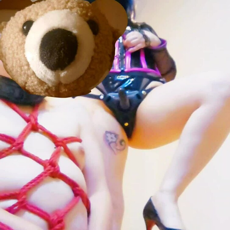 変態熊ちゃん🧸