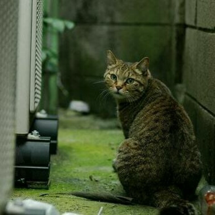西新宿