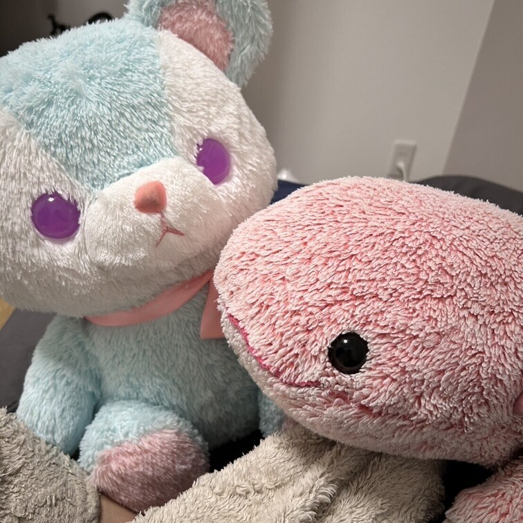 ○○○紹介
くまのくまみちゃんとウーパールーパーのウパちゃん