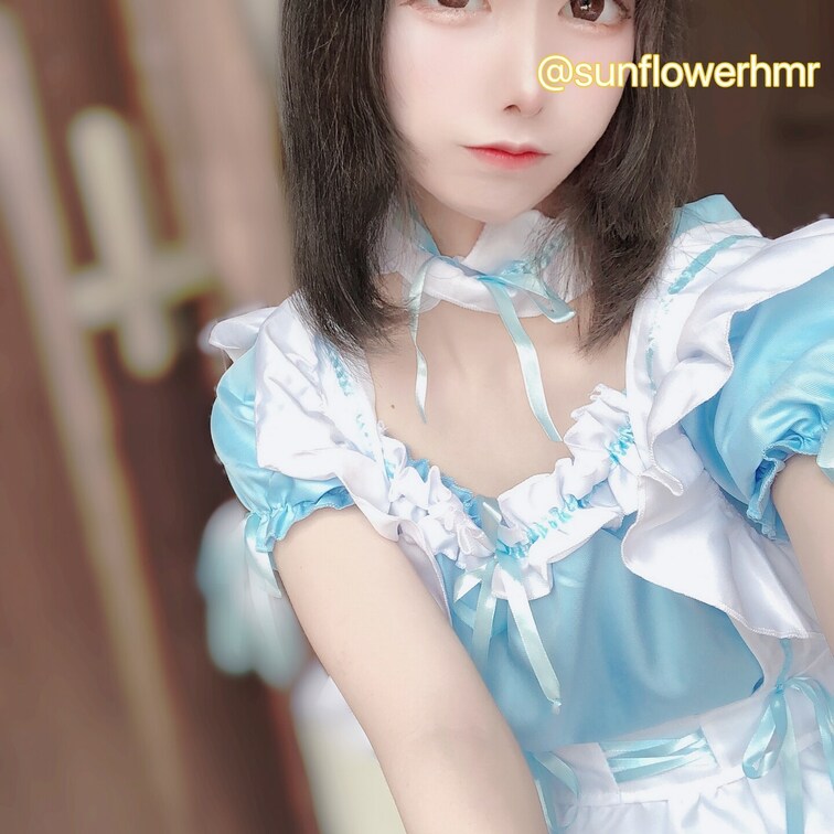 めいどさんだょー！
