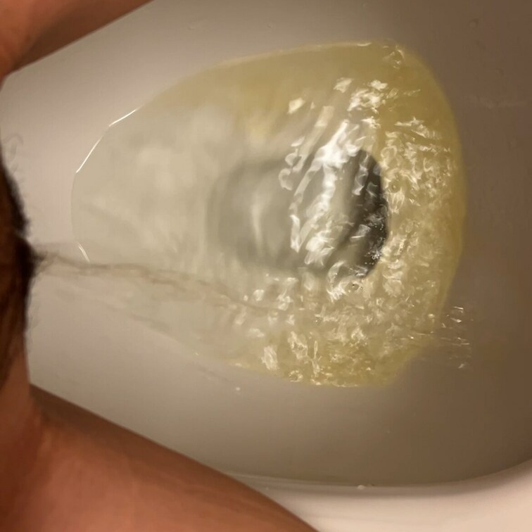 ちょっと元気のない昼しょん₍ᐢ. ̫.ᐢ₎