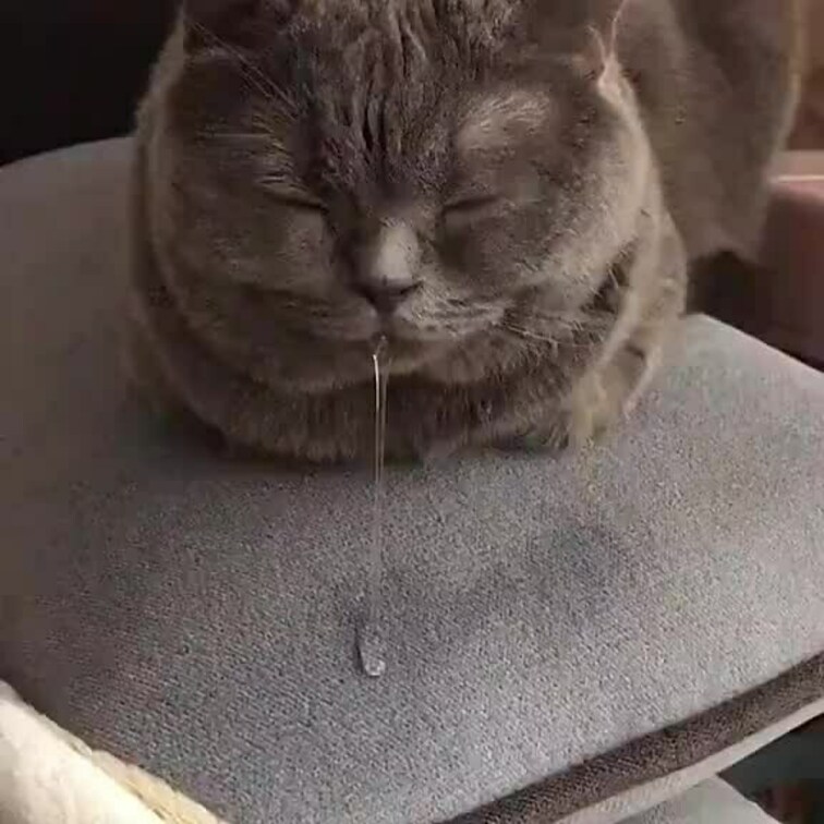 テスト