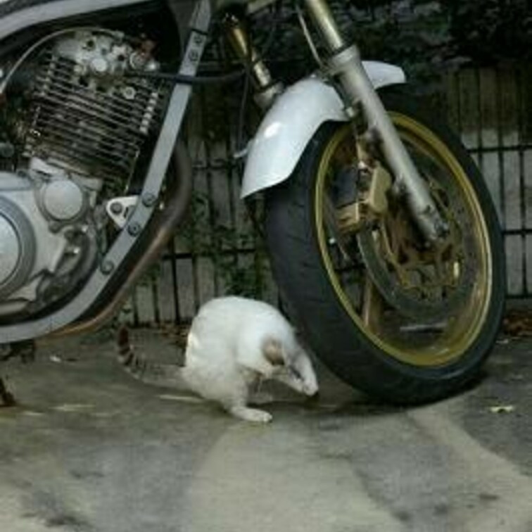 なんかつかんだ