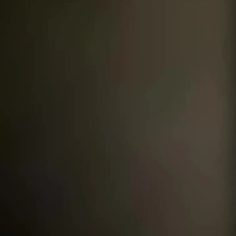 主婦の性活