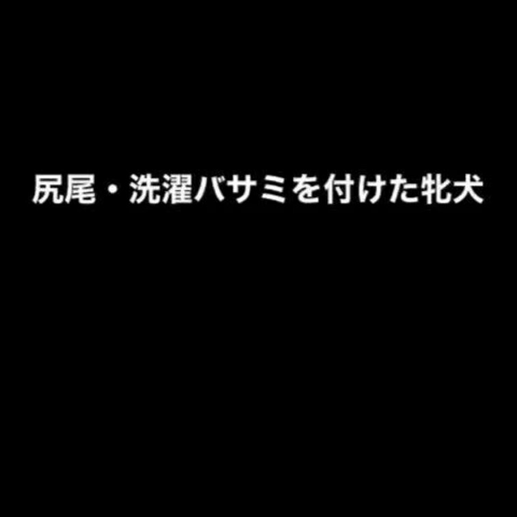 尻尾をつけてコンビニでお買い物するM女