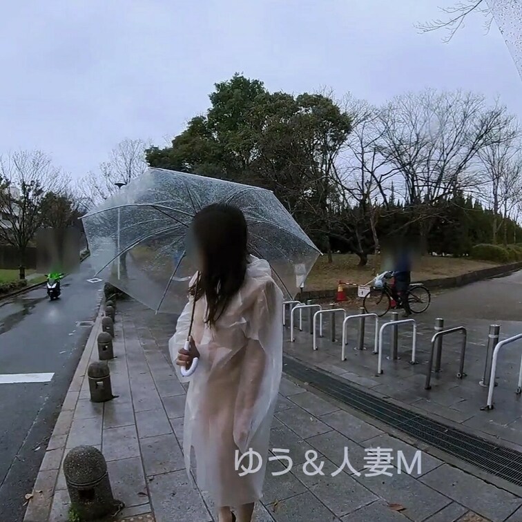 雨の日散歩の第三段です！！
自転車や原付き、ランニングの人たちにも遭遇しました！！
みんな気づいたかな？