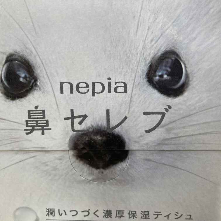 なめとんかわれ